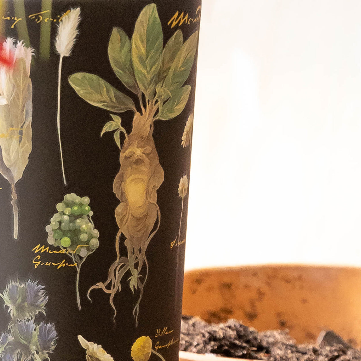 harry-potter-cold-cup-q4 Herbology-3.jpg
