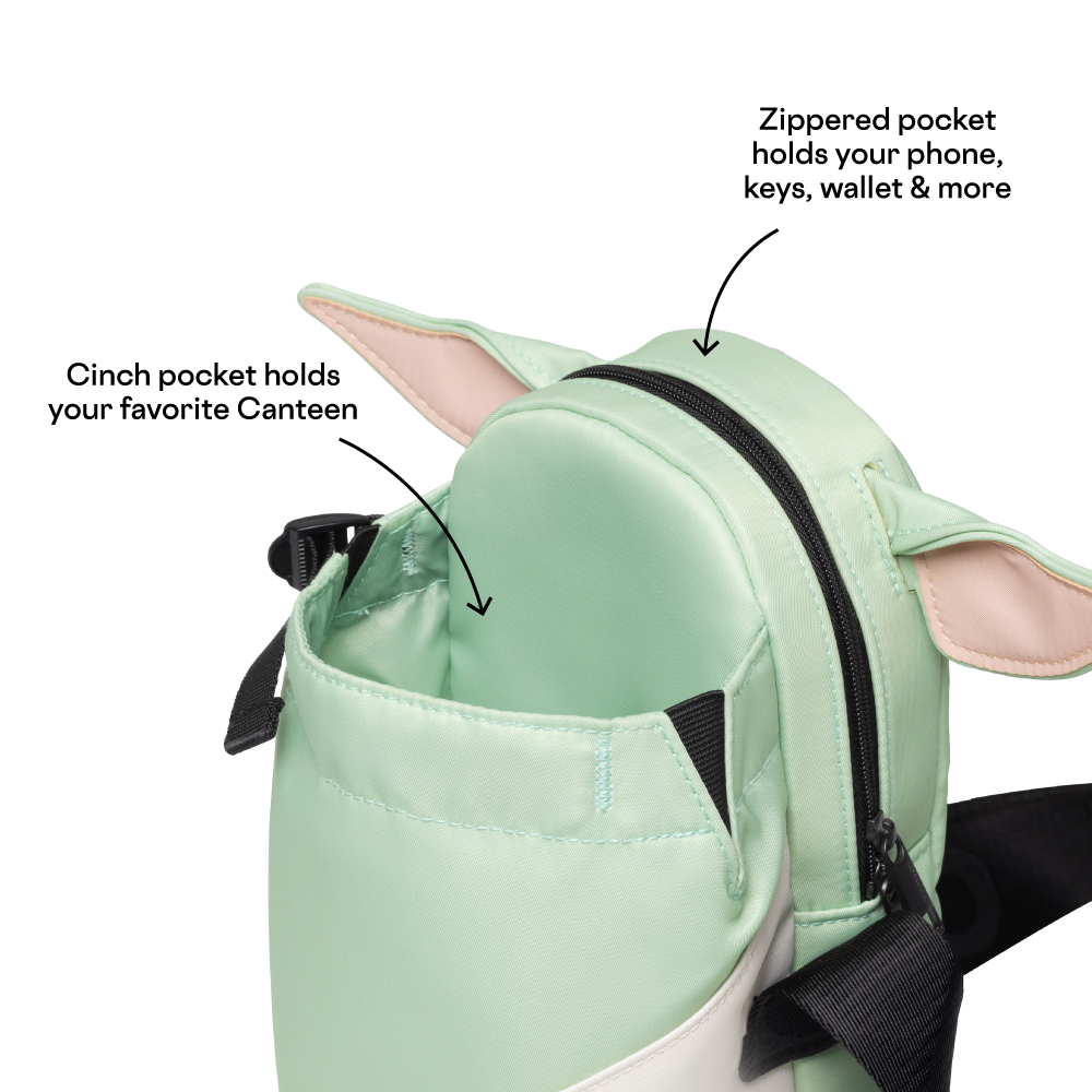 disney-sling-q6 53593b3e49e2--Sling-PDP-4.png